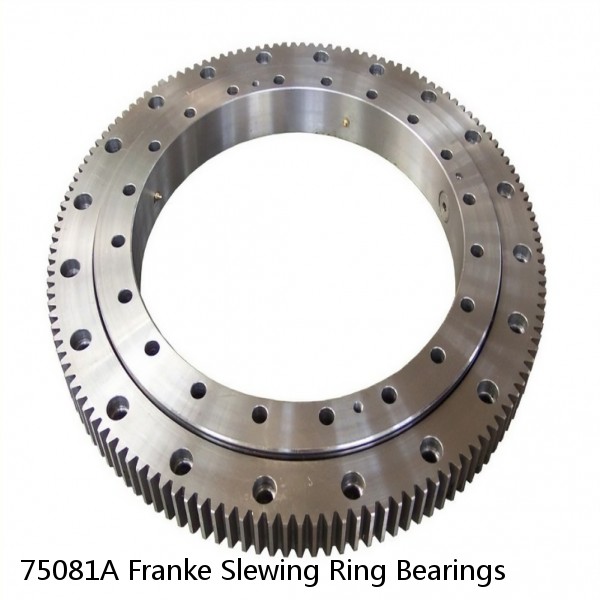 75081A Franke Slewing Ring Bearings