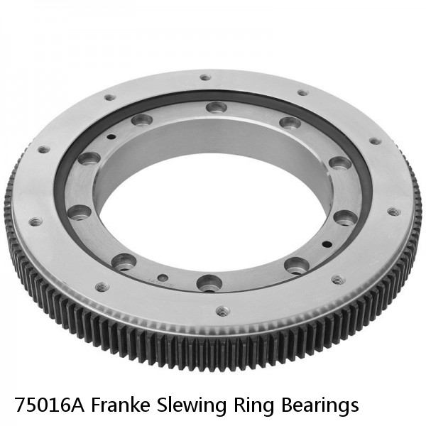 75016A Franke Slewing Ring Bearings