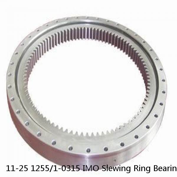 11-25 1255/1-0315 IMO Slewing Ring Bearings