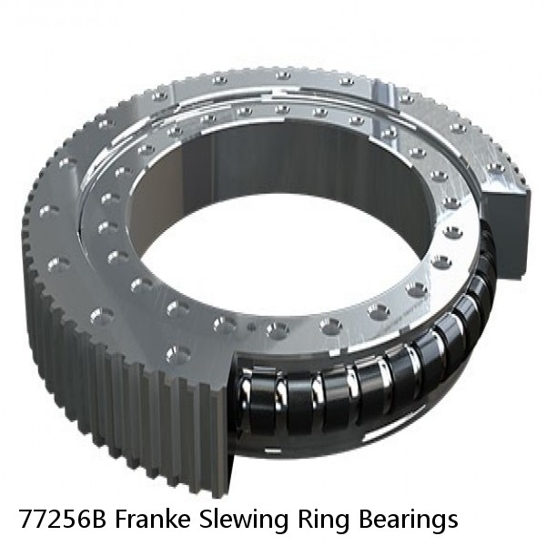 77256B Franke Slewing Ring Bearings