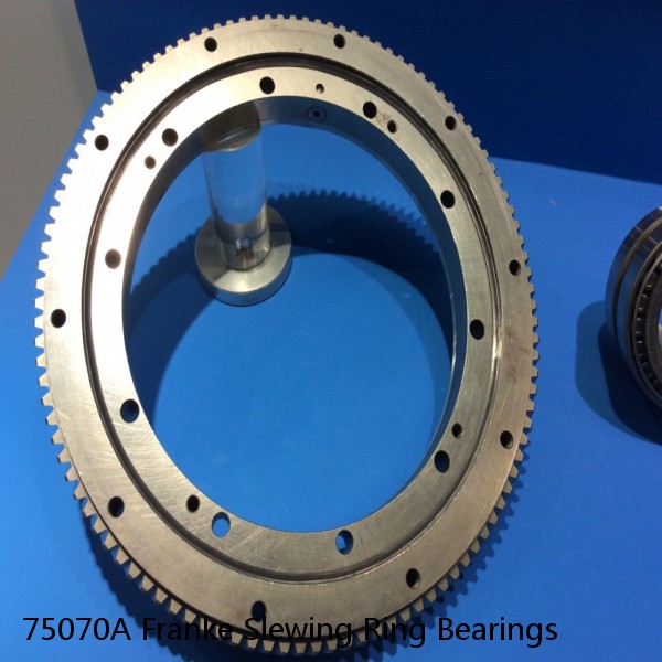 75070A Franke Slewing Ring Bearings