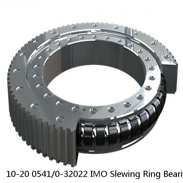 10-20 0541/0-32022 IMO Slewing Ring Bearings